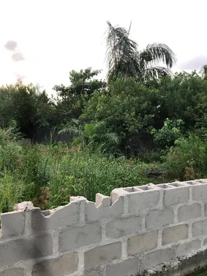 Half Plot Of Land