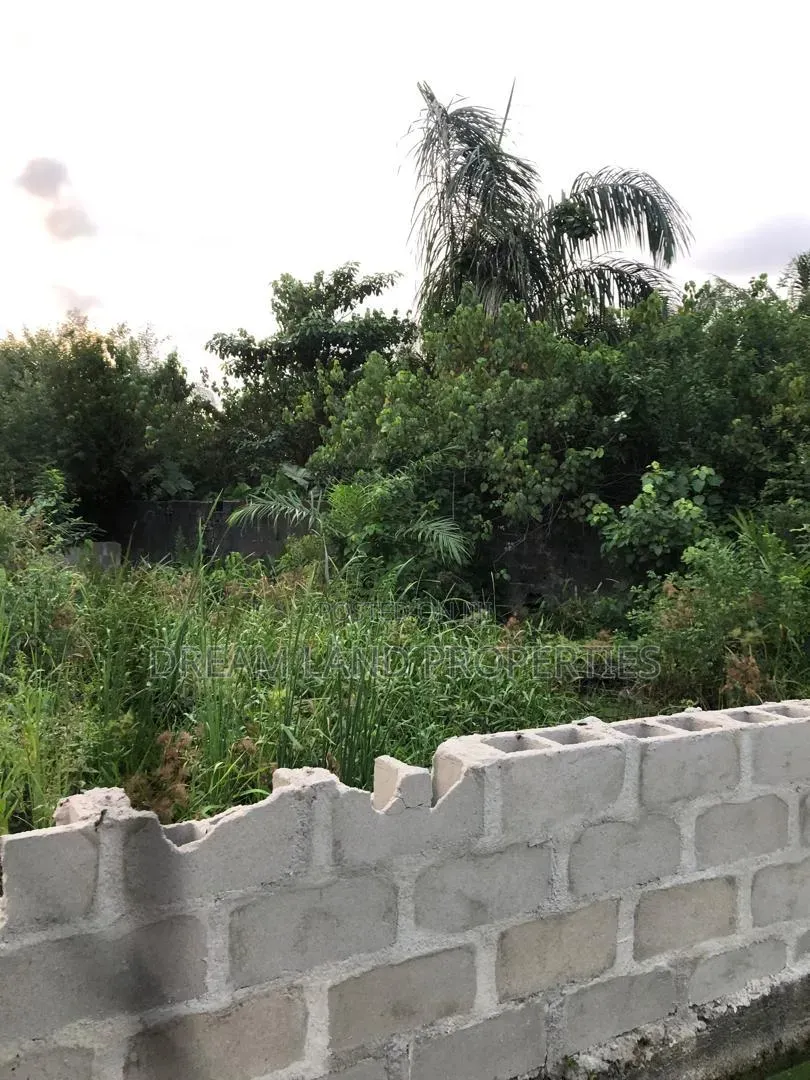 Half Plot Of Land