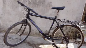 Sport Bicycle