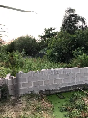 Half Plot Of Land