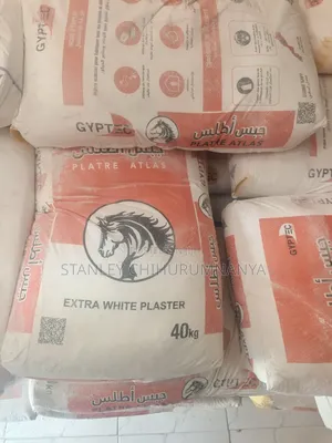 Plaster Atlas 40kg