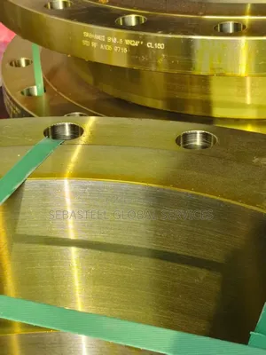 24" W/N Flange Shed 40