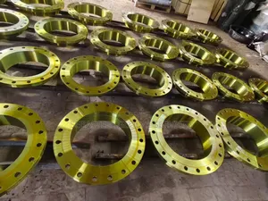 24" W/N Flange Shed 40