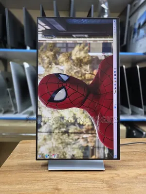 24 Inches Frameless Monitor 1080p 100hz Refresh Rate