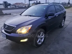Lexus RX 350 2007 Gray