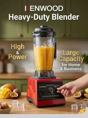 Kenwood Heavy Duty Blender