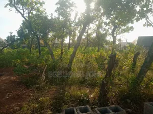 Land for Sell at Kagini Fcda Layout Opposite Kuwba Nysc
