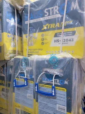 Haustrom 220ah 12v Tall Tubular Solar Inverter Batteries in Stock