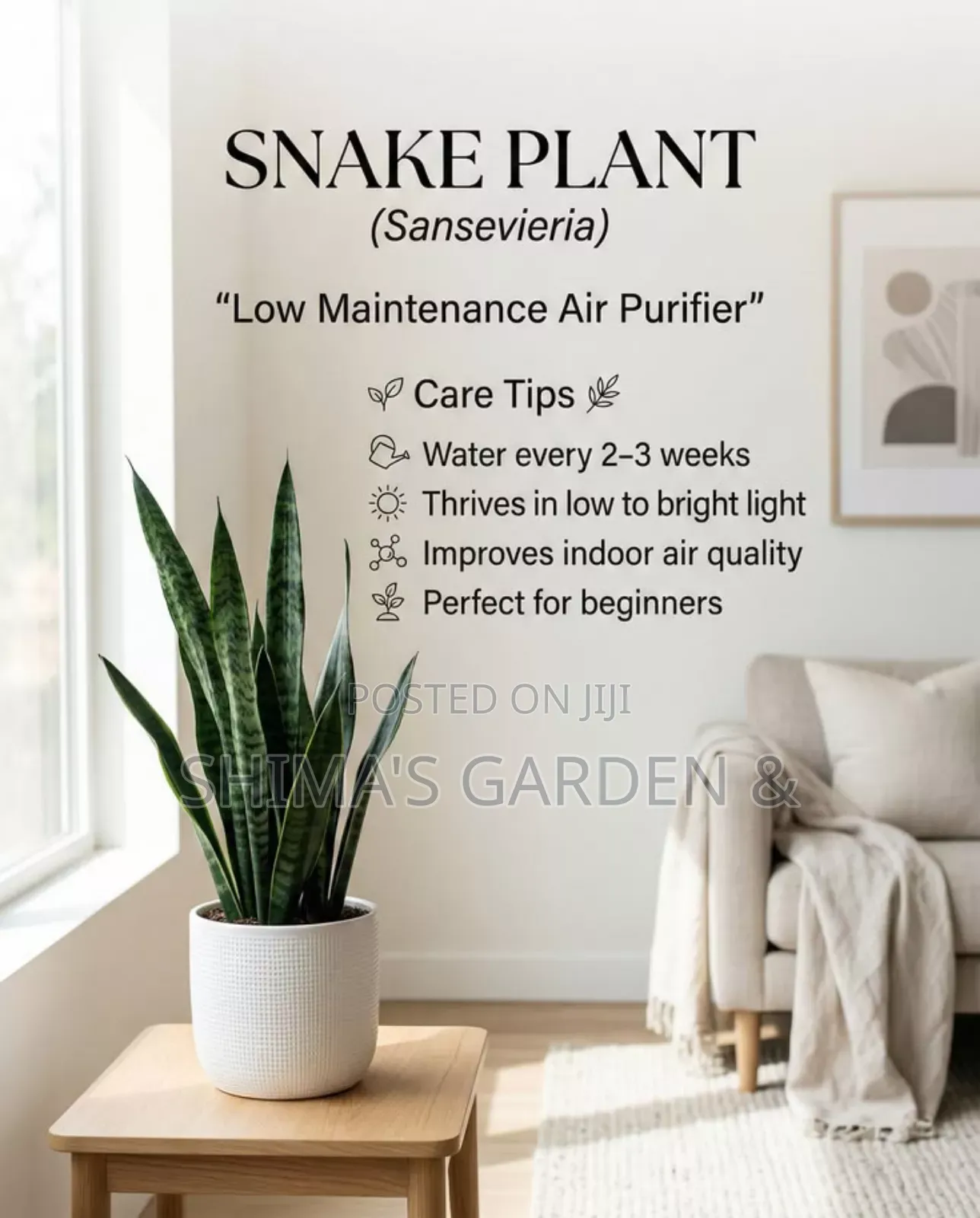 Horticultural Services