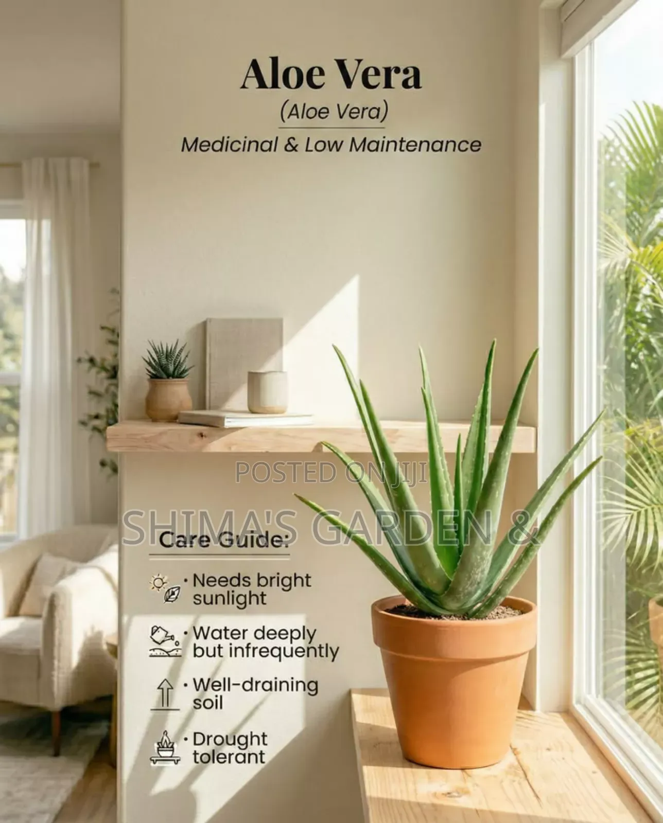 Horticultural Services