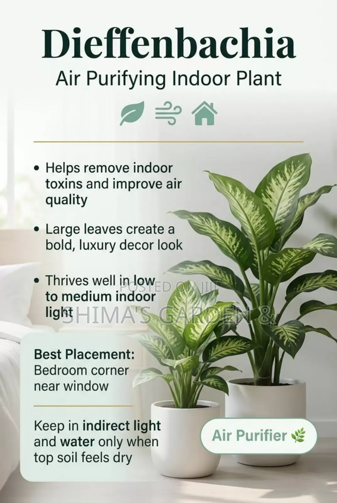 Horticultural Services