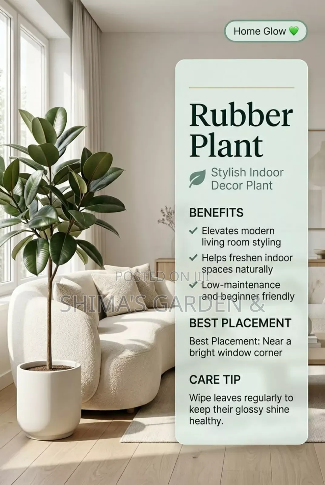 Horticultural Services