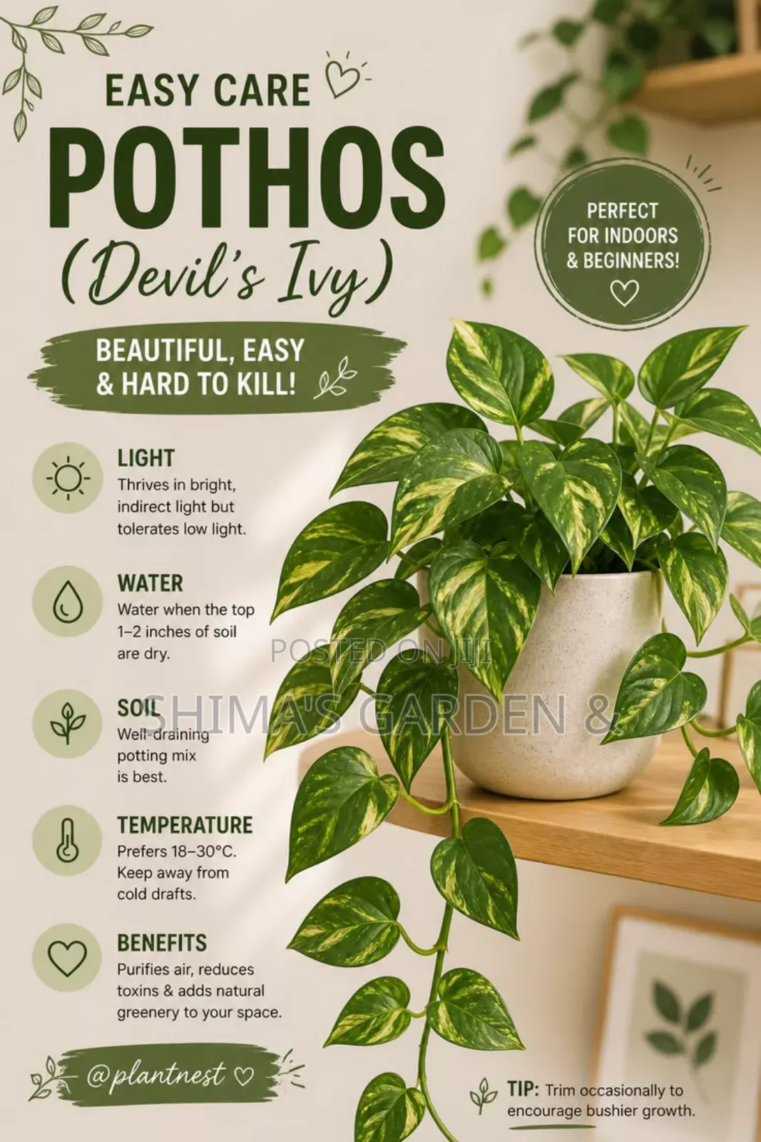 Horticultural Services