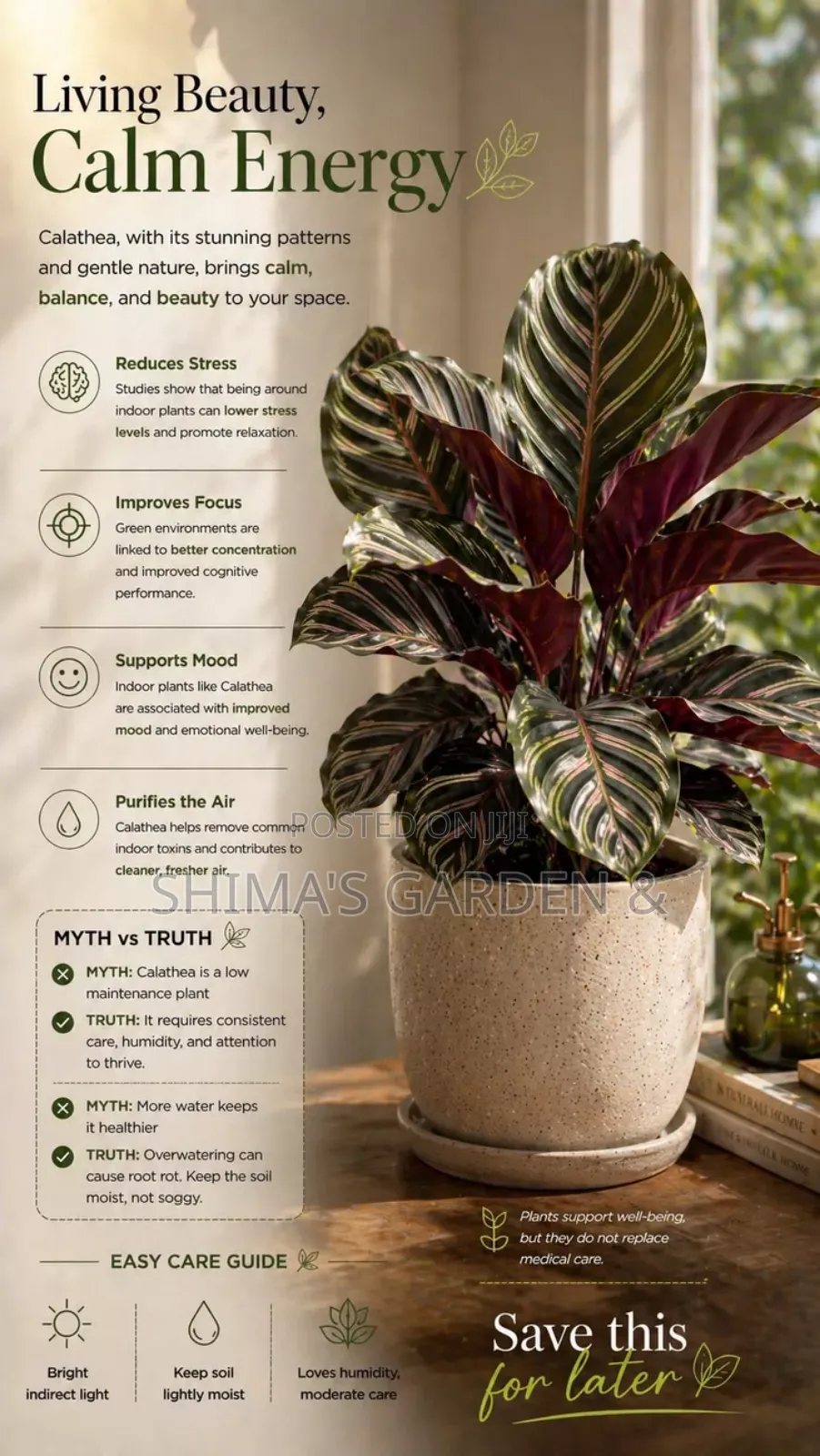 Horticultural Services