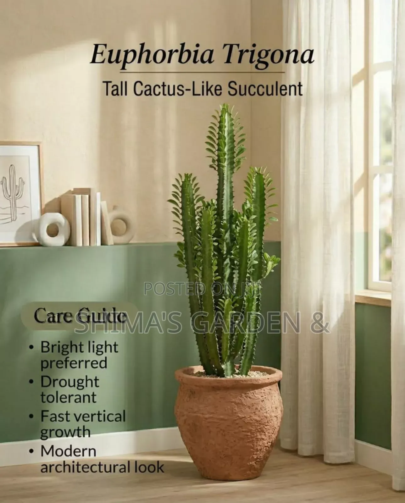 Horticultural Services
