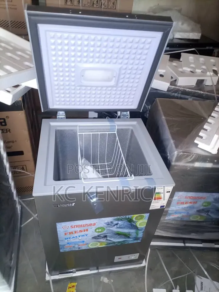 Snowsea Deep Freezer Bd- 158