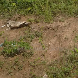 10 Hectares of Land Selling Now
