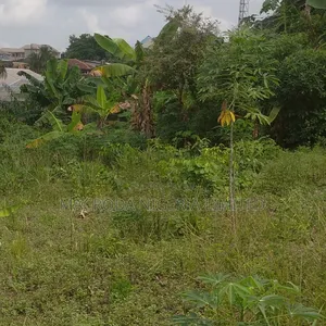 Full Plot of Land at New London
