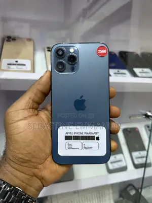Apple iPhone 12 Pro Max 256 GB Blue