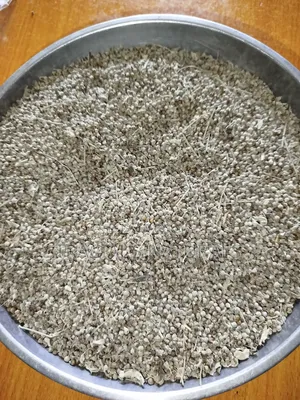 1kg Vitex Seeds