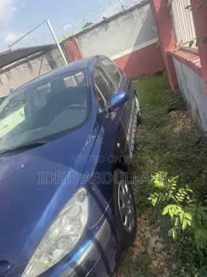 Peugeot 307 2005 Blue