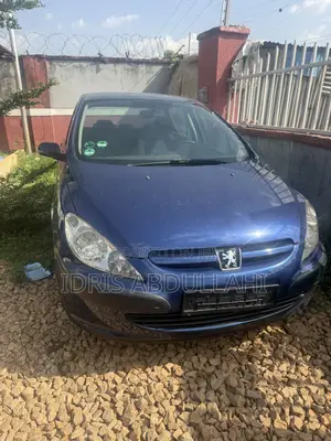 Peugeot 307 2005 Blue