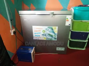 Snowsea Energy Saving Freezer