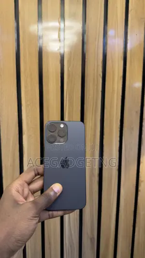 Apple iPhone 15 Pro Max 256 GB Black
