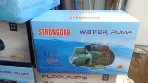 Surface Water Pump