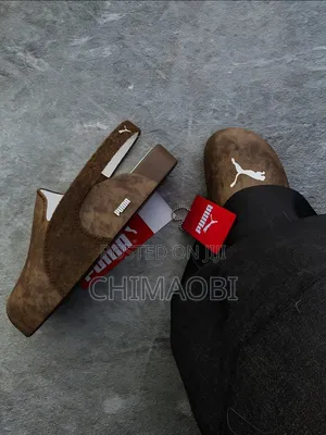 Puma Update