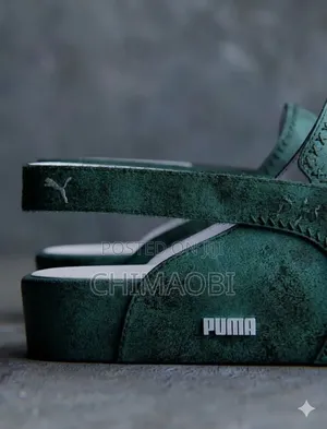 Puma Update