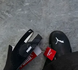 Puma Update