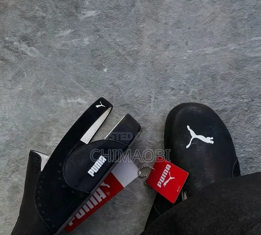 Puma Update
