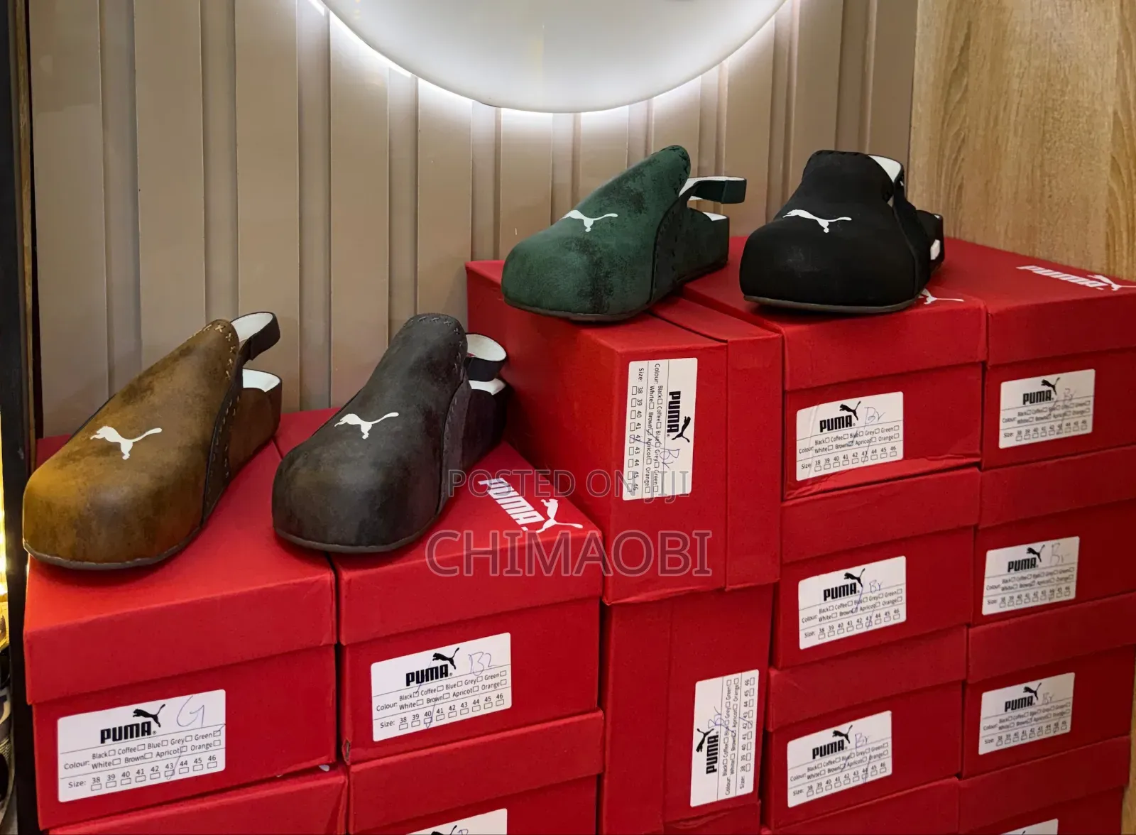 Puma Update