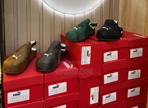 Puma Update