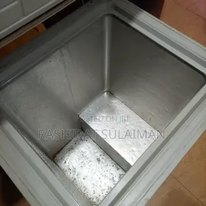 Deep Freezer (Hisense)