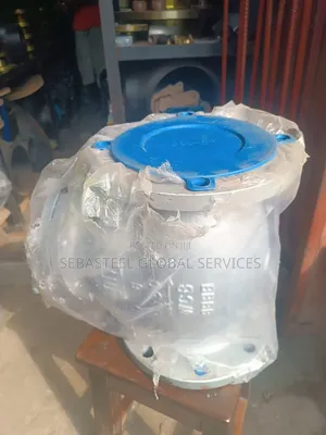 6" Class 150 Check Valve