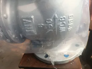 6" Class 150 Check Valve