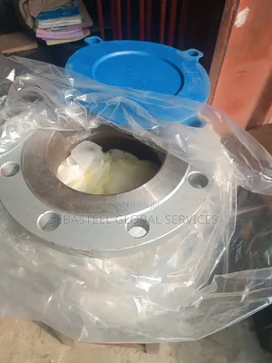 6" Class 150 Check Valve