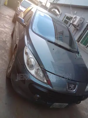 Peugeot 307 2007 Gray