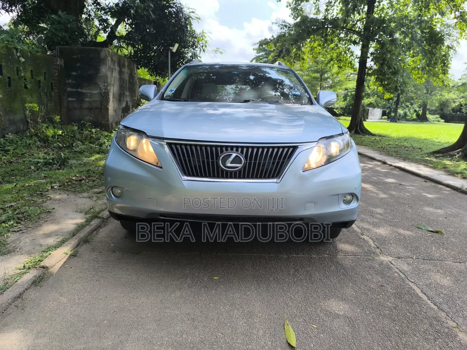 Lexus RX 350 2010 Blue