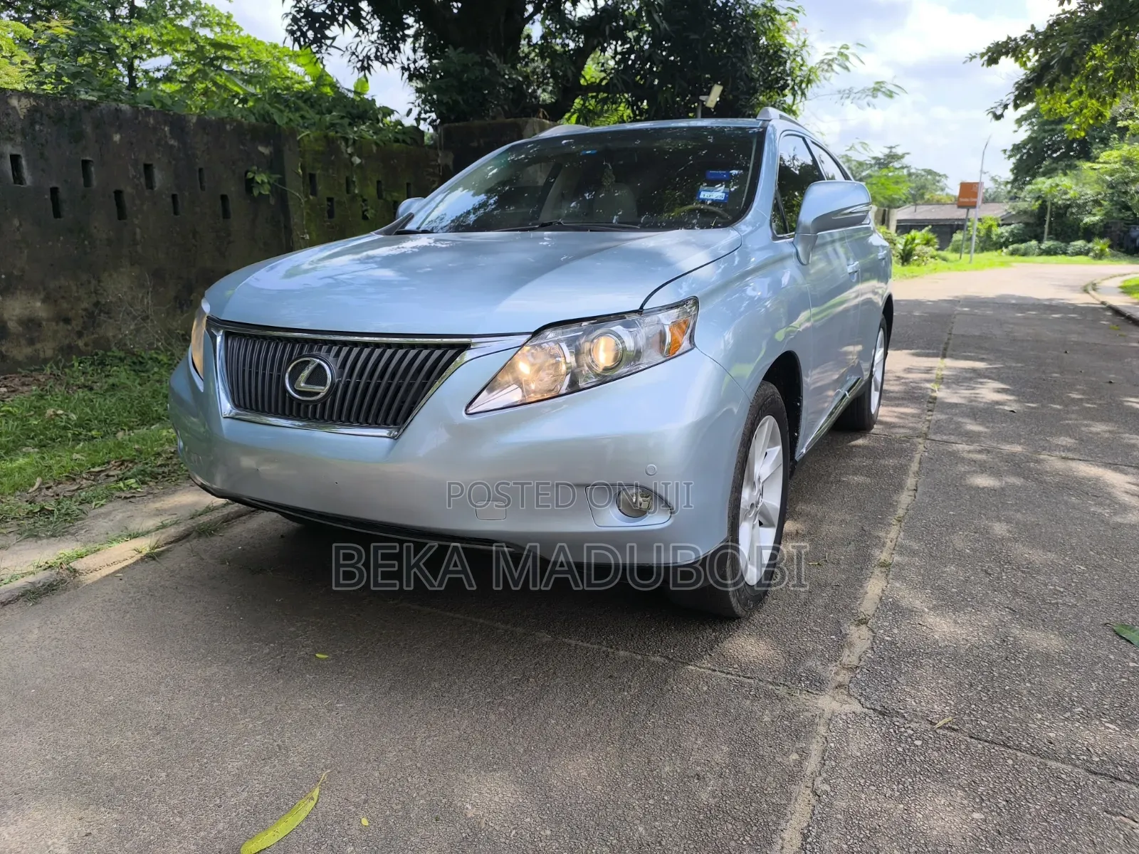 Lexus RX 350 2010 Blue