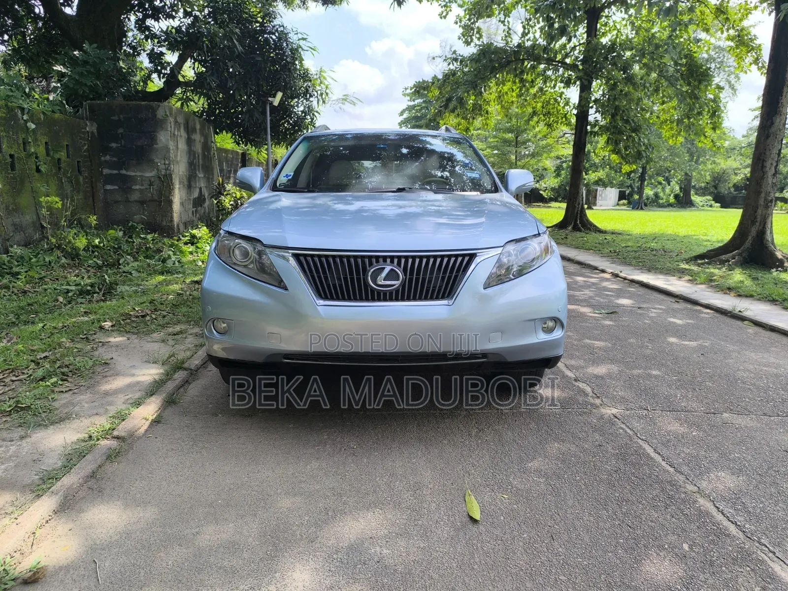 Lexus RX 350 2010 Blue