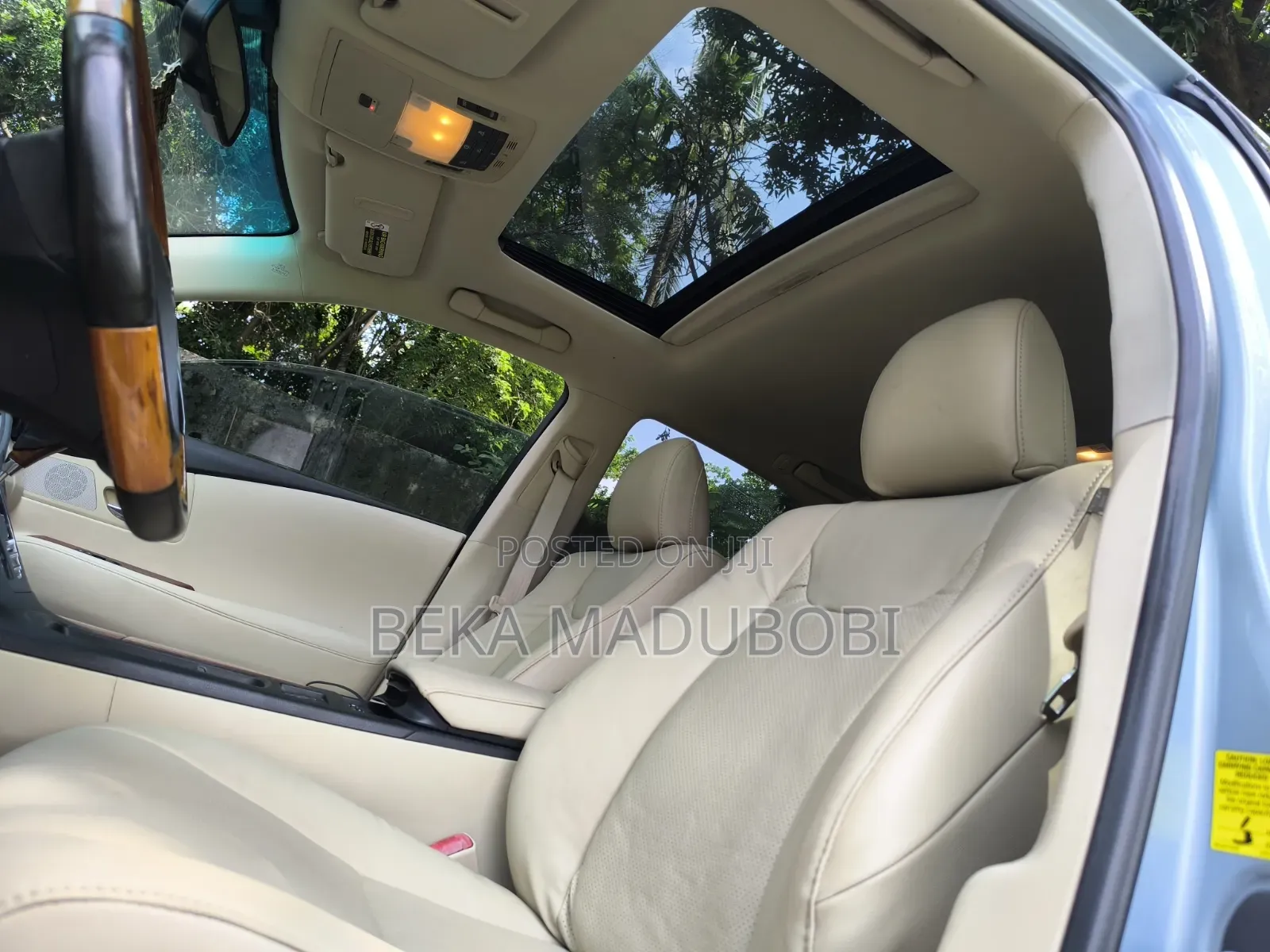 Lexus RX 350 2010 Blue
