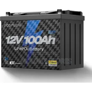 Ecoflow 12v 100ah Lifepo4 Battery, Built-in 100a BMS