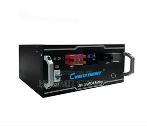 Cworth Energy 2.5kwh 24v Lithium Battery (Lifepo4 24volts 100ah)