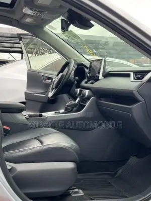Toyota RAV4 Limited AWD 2019 Silver