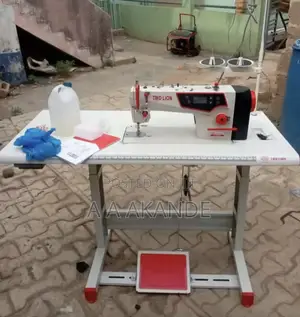 Two Lion Direct Drive Industrial Straight Sewing