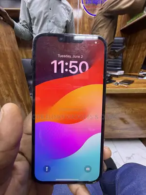 Apple iPhone 13 Pro Max 128 GB Gray