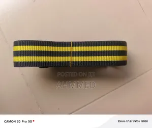 Security Belt